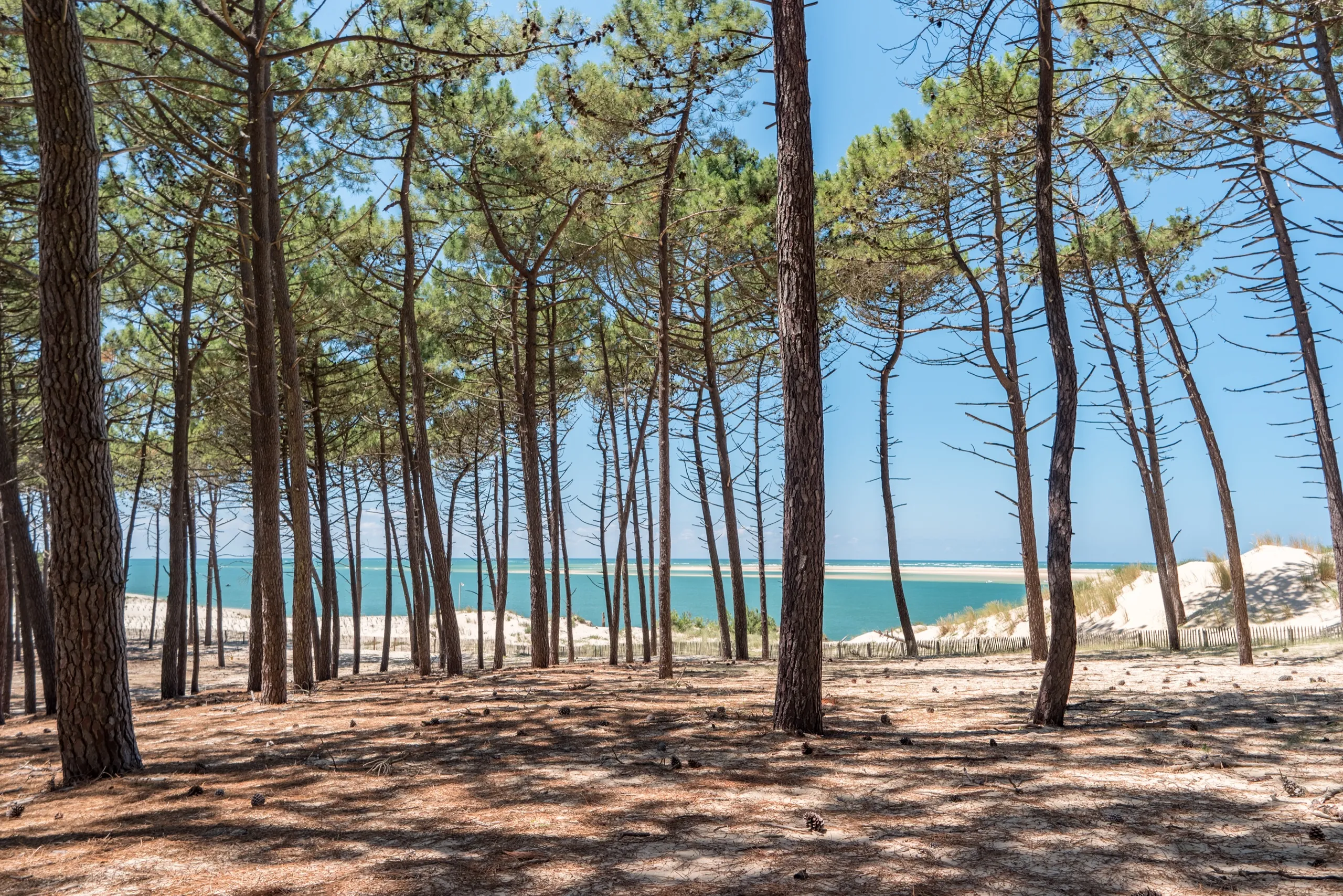 Arcachon