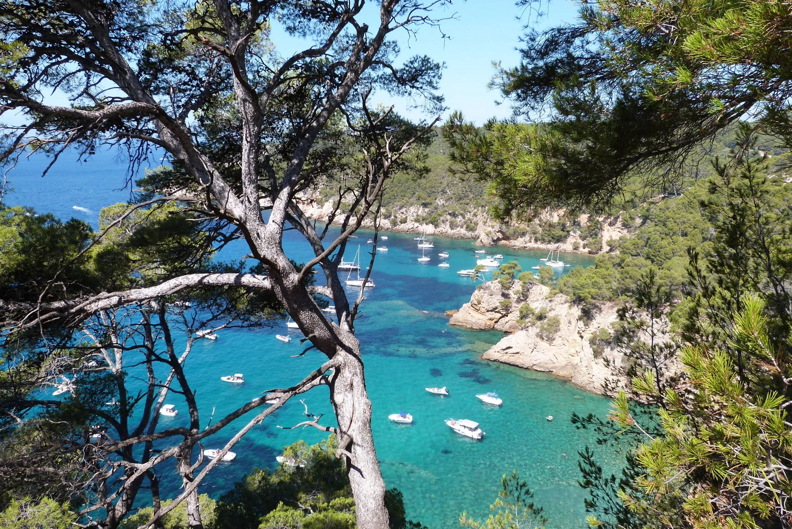 Saint-Cyr-sur-Mer